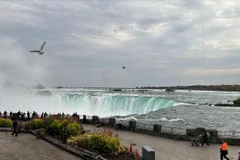 Vẻ đẹp của Niagara - cửa ngõ giao thương chính giữa Canada và Mỹ