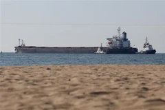 Kênh giao dịch trực tiếp liên quan Sáng kiến Ngũ cốc Biển Đen bị đóng