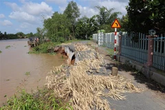 Đánh giá mức độ sạt lở bờ sông, bờ biển 5 tỉnh Đồng bằng sông Cửu Long