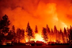 Một vụ cháy rừng ở Foresthill, bang California (Mỹ). (Ảnh: AFP/TTXVN)