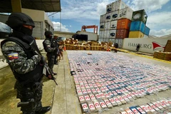 Ecuador thu gần 9 tấn ma túy giấu trong container chuối chuyển tới Bỉ 