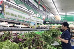 (Ảnh minh họa. Mỹ Phương/TTXVN)