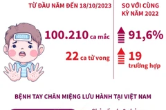 Cả nước ghi nhận 22 trường hợp tử vong do bệnh tay chân miệng