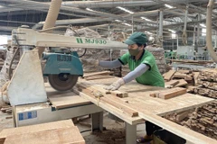 Các doanh nghiệp xuất khẩu gỗ chủ động tìm cách tháo gỡ khó khăn