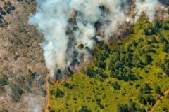 Cuba nỗ lực ngăn chặn "giặc lửa" hoành hành ở miền Đông 