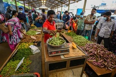 Sri Lanka cắt giảm mạnh lãi suất lần đầu tiên kể từ khi bị khủng hoảng