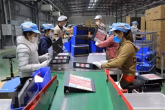 Tỉnh Bắc Ninh quảng bá các cơ hội đầu tư với doanh nghiệp Mỹ