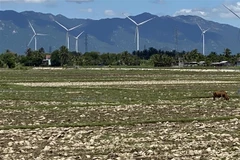 Việt Nam loại trừ nhiều chất làm suy giảm tầng ozone từ năm 2024