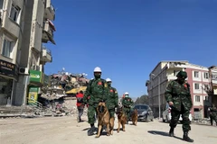 Động đất ở Thổ Nhĩ Kỳ: Những sứ giả nhân đạo mang “quân hàm xanh”