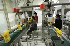 Thị trường nông sản tuần qua: Xuất khẩu gạo của Việt Nam giảm 