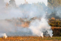 Đạn pháo phát nổ gần khu của Lực lượng Gìn giữ Hòa bình LHQ ở Liban