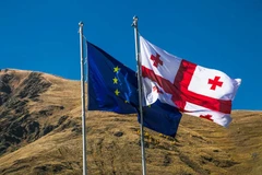 Liên minh châu Âu và Gruzia thúc đẩy hợp tác về chính sách an ninh 