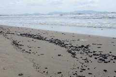 Dầu vón cục tiếp tục tràn vào bãi biển Vũng Tàu