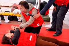 Tập huấn kỹ năng sơ cứu nạn nhân bị tai nạn giao thông 