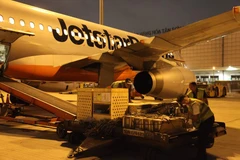 Vận chuyển chim trời và các loài động vật quý hiếm ra đảo Phú Quốc. (Ảnh: Jetstar cung cấp)