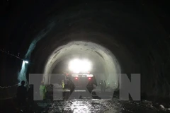 (Ảnh minh họa: Nguyên Lý/TTXVN)