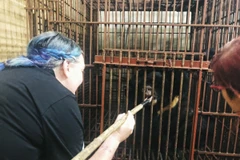 Bác sỹ thú y cho gấu ăn và kiểm tra sức khỏe cho gấu. (Anh TCĐVCA cung cấp)