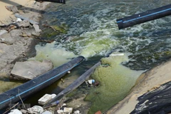 Ảnh chỉ có tính chất minh họa. (Nguồn: TTXVN) 