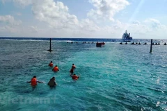 Ảnh chỉ có tính chất minh họa. (Nguồn: Hùng Võ/Vietnam+)