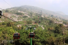 Ảnh minh họa. (Nguồn: TTXVN) 