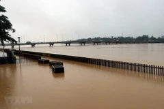 Nước lũ trên sông Hương. (Ảnh: Đỗ Trưởng/TTXVN)
