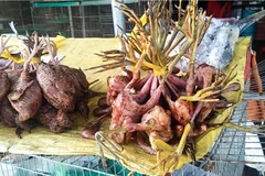 Chim, cò hoang dã bị vặt lông, thui sống bày bán tràn lan ở chợ nông sản Thạnh Hóa, tỉnh Long An. (Ảnh: PV/Vietnam+)