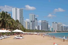 Ảnh chỉ có tính chất minh họa. (Nguồn: Nguyễn Dũng/TTXVN)) 