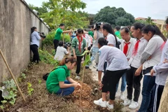Lễ phát động trồng cây xanh đô thị ở huyện Ứng Hòa, thành phố Hà Nội. (Ảnh: Hùng Võ/Vietnam+)