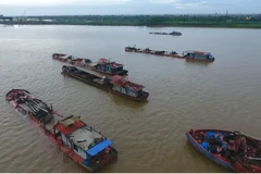 Hoạt động khai thác cát trên sông Hồng đoạn chảy qua địa bàn thành phố Hưng Yên. (Ảnh: PV/Vietnam+)