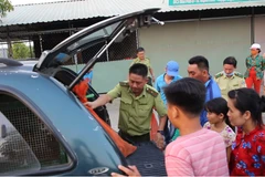 Đoàn kiểm tra của Cục Kiểm lâm tổ chức cuộc truy quét bí mật, qua đó tịch thu hàng loạt cá thể động vật hoang dã ở vùng "đặc khu" bán lậu chim trời Thạnh Hóa. (Ảnh: HV/Vietnam+)