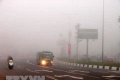 Ảnh minh họa. (Nguồn: Dương Chí Tưởng/TTXVN)