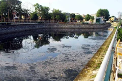 Ảnh chỉ có tính chất minh họa. (Nguồn: TTXVN) 