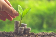 Ảnh chỉ có tính chất minh họa. (Nguồn: eq international)