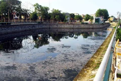 Ảnh chỉ có tính chất minh họa. (Nguồn: TTXVN)