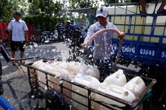 Ảnh minh họa. (Nguồn: TTXVN) 