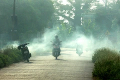 Việc đốt rơm rạ ven đường gây khó khăn cho người tham gia giao thông. (Ảnh: Thế Duyệt/TTXVN)