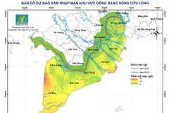 Bản đồ dự báo xâm nhập mặn khu vực Đồng bằng sông Cửu Long.