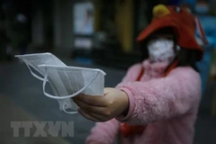 Ảnh minh họa. (Nguồn: Vietnam+) 