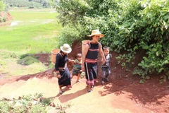 Ảnh minh họa. (Nguồn: TTXVN) 