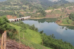 Ảnh minh họa. (Nguồn: Hùng Võ/Vietnam+) 