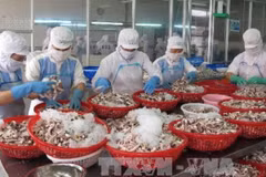 Ảnh minh họa. (Nguồn: TTXVN).