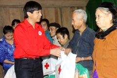 Ảnh minh họa. (Ảnh: Thanh Tùng/TTXVN).