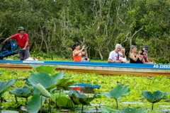 Khám phá rừng tràm Trà Sư: Du khách 'trốn' ồn ào, về với thiên nhiên