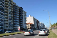 Uruguay có tỷ lệ người trung lưu cao nhất khu vực Mỹ Latinh