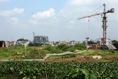 Ảnh minh họa. (Nguồn: TTXVN)