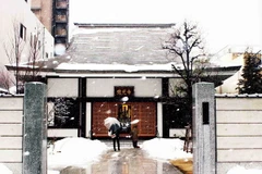 Bão tuyết ở Nhật Bản làm hơn 1.600 người bị thương