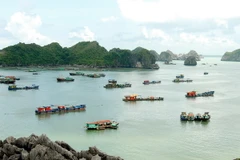 Lễ hội hoa phượng đỏ sẽ có nhiều hoạt động đặc sắc