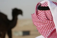 WHO cảnh báo về mức độ nguy hiểm của dịch bệnh MERS