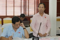 Đại biểu Quốc hội thảo luận về hai dự thảo luật sửa đổi