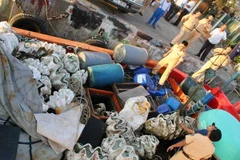 Chưa có chế tài xử lý hình sự vụ vận chuyển vỏ sò tai tượng